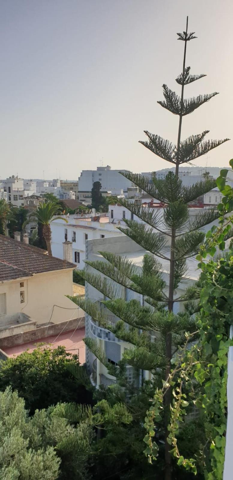 Guesthouse Kasbah Old Medina Tanger Eksteriør billede